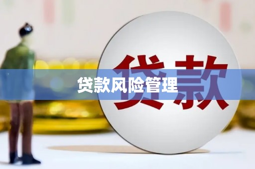 铜官山贷款风险管理