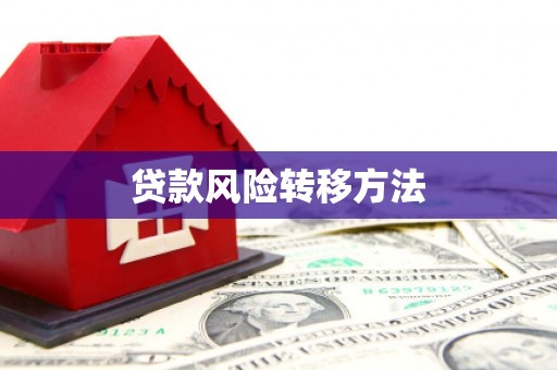 铜官山贷款风险转移方法