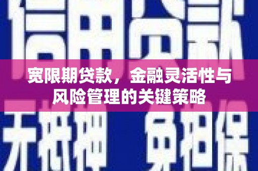 铜官山宽限期贷款，金融灵活性与风险管理的关键策略