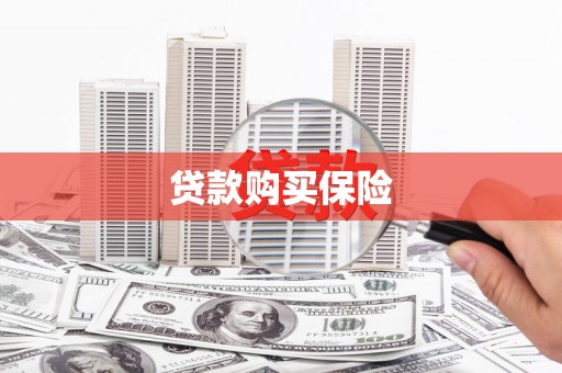 铜官山贷款购买保险