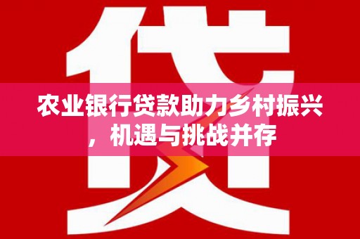铜官山农业银行贷款助力乡村振兴，机遇与挑战并存