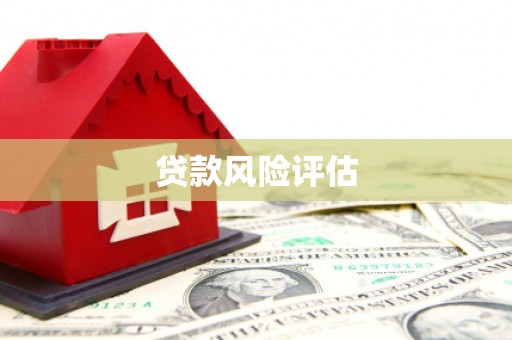 铜官山贷款风险评估