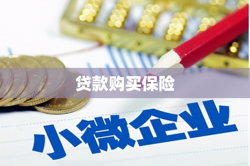 铜官山贷款购买保险