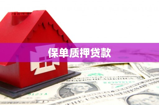 铜官山保单质押贷款