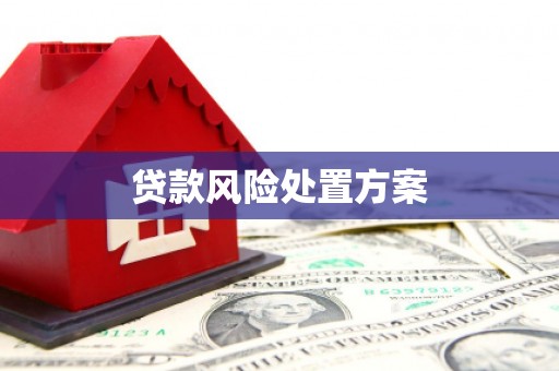 铜官山贷款风险处置方案