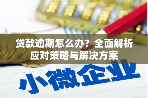 铜官山贷款逾期怎么办？全面解析应对策略与解决方案